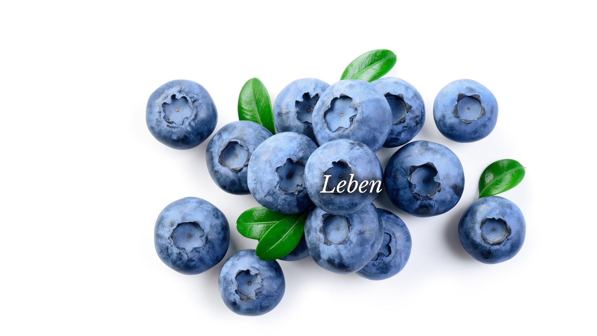 Blaubeeren mit grünen Blättern und dem Wort 'Leben' darauf geschrieben