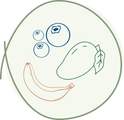 Illustration von Banane, Beeren und einer Mango als grafische Darstellung natürlicher Zutaten.