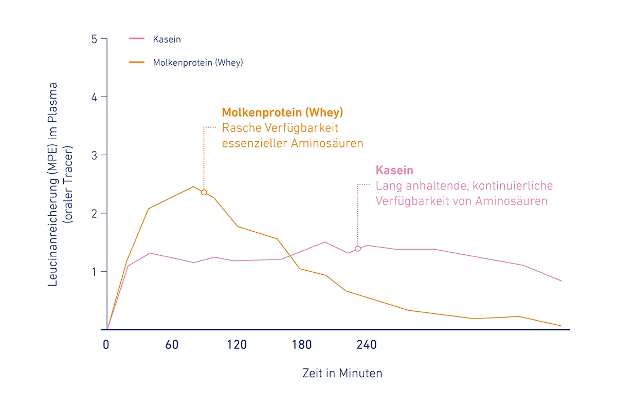Grafik Leucinanreicherung