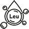 Leucin