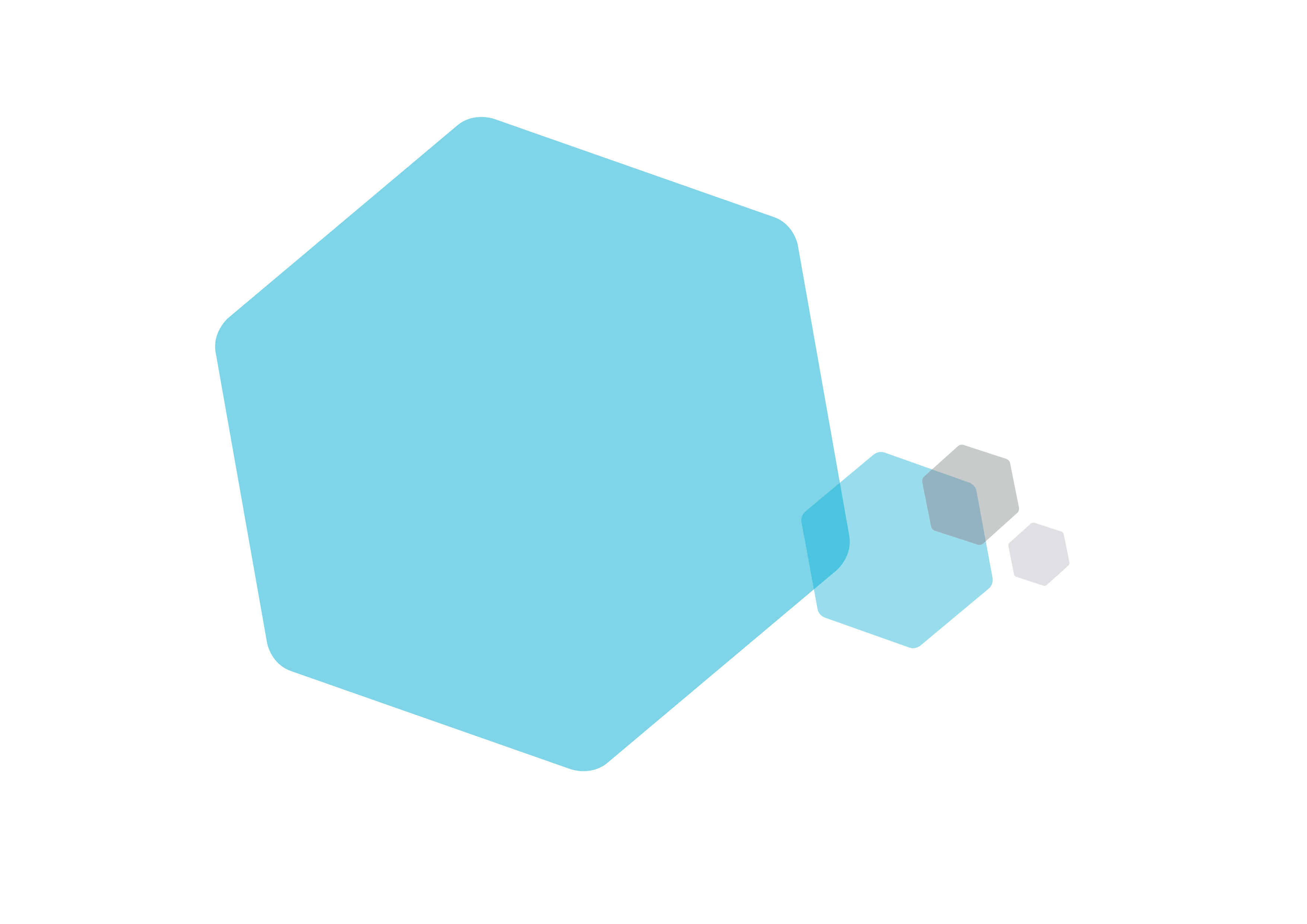 NHSc Hexagon